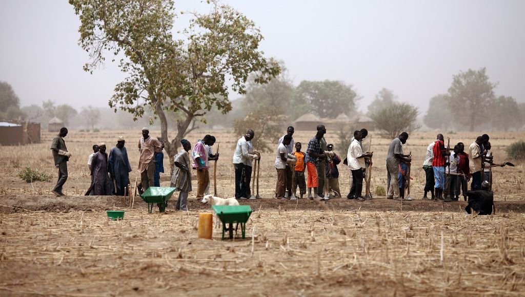 Les Insectes Contre la Faim Mondiale