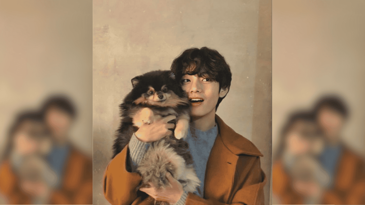 Yeontan (BTS), le petit chien qui fait sensation sur Internet