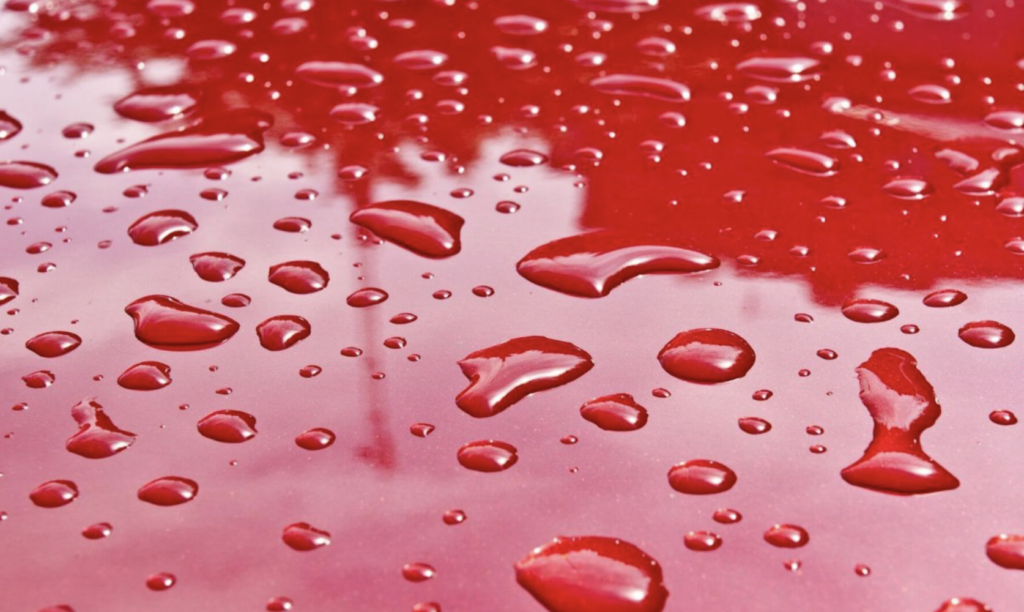 Tout savoir sur le traitement pour la carrosserie Waxoyl