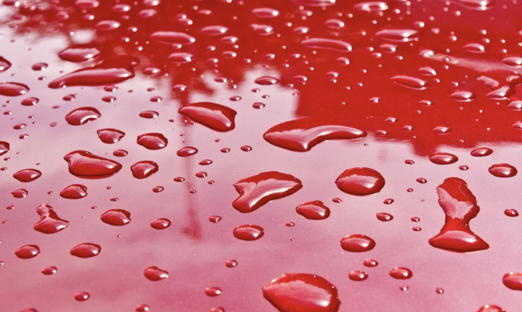 Tout savoir sur le traitement pour la carrosserie Waxoyl