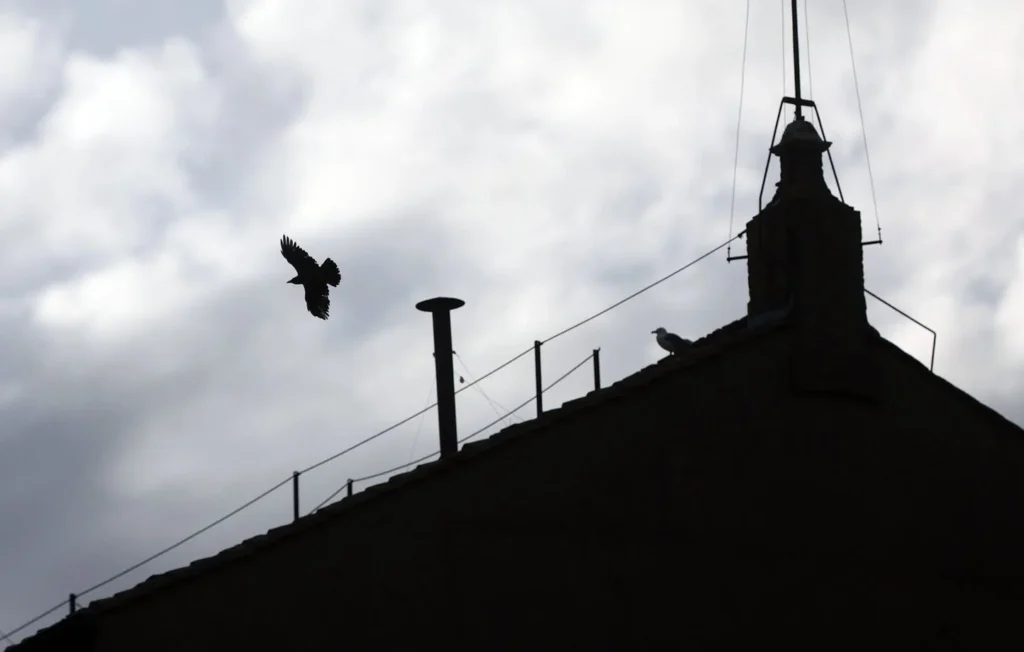 Vivez l’attente du conclave et percez le mystère de la fumée blanche et noire, révélant l’élection du Pape grâce à des procédés chimiques modernes au Vatican.