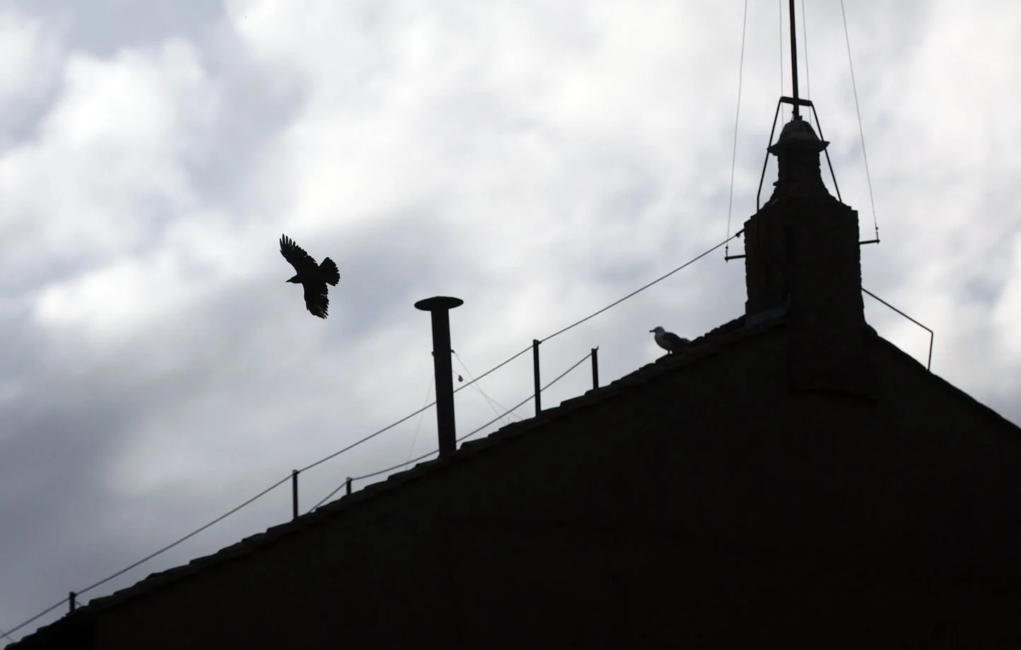 Vivez l’attente du conclave et percez le mystère de la fumée blanche et noire, révélant l’élection du Pape grâce à des procédés chimiques modernes au Vatican.